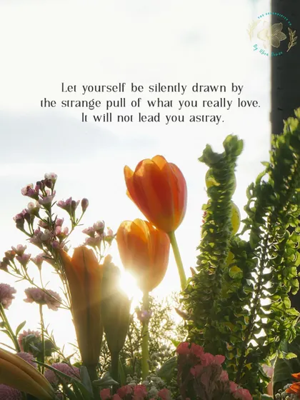 "Let yourself be silently drawn by the strange pull of what you really love." A beautiful shot of flowers in the sunlight, a reminder to follow your heart when it comes to your dreams.