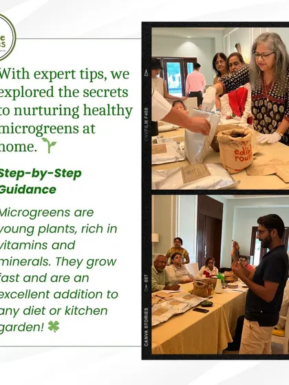 Our founder, Kapil, providing step-by-step guidance during a microgreens workshop at the DLF Golf & Country Club. We bring our workshops to corporate offices and communities too.