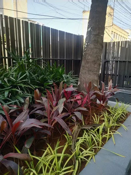 We designed a small outdoor garden space for the studio. The landscaping uses a mix of colorful and green foliage to create a small natural retreat in an urban setting.