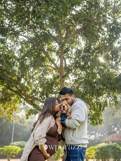 An adorable shot of an expecting couple kissing while holding their cocker spaniel puppy during an outdoor maternity session.