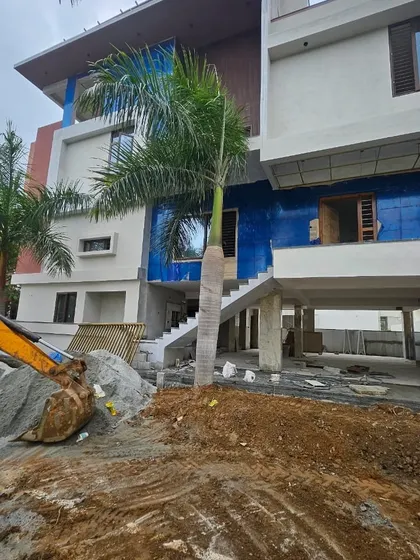 A successfully transplanted palm tree provides immediate aesthetic value and green cover to a new residential building. Our service is ideal for developers and homeowners looking to achieve a mature landscape without the wait.