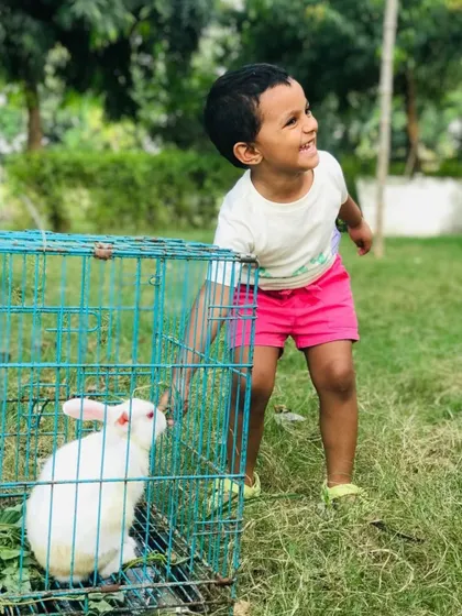 A young child's face lights up with a huge smile while interacting with a white rabbit.