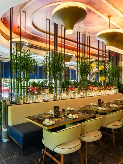 For Havemore restaurant, I created a collection of hand-illustrated artworks celebrating Delhi's landmarks, like India Gate and Lotus Temple, all woven into a beautiful botanical theme. The ceiling also features a dreamy, colorful design.