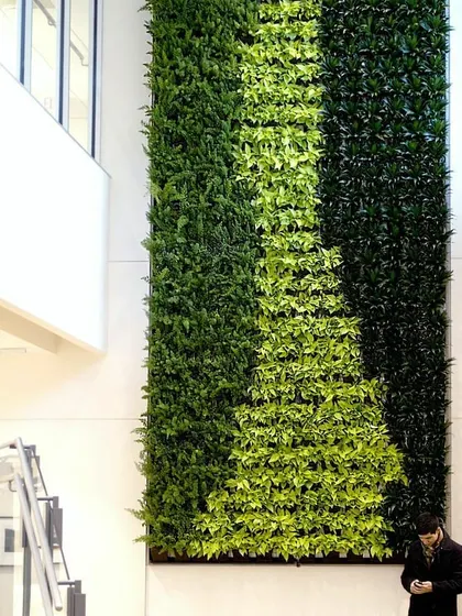 A floor-to-ceiling vertical garden in a corporate office lobby. The design uses vertical bands of different shades of green to create a simple, elegant, and professional look.