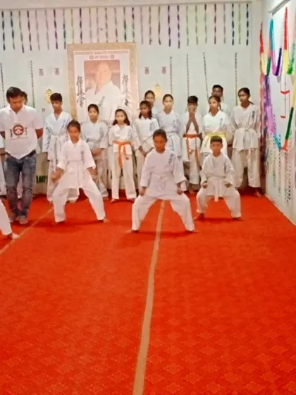 The test begins with basic stances. A strong Kiba Dachi (horse stance) is fundamental.