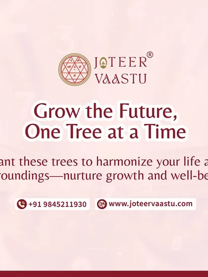 Grow the future, one tree at a time. Planting specific trees can help harmonize your life and surroundings, nurturing both personal growth and a sense of well-being.
