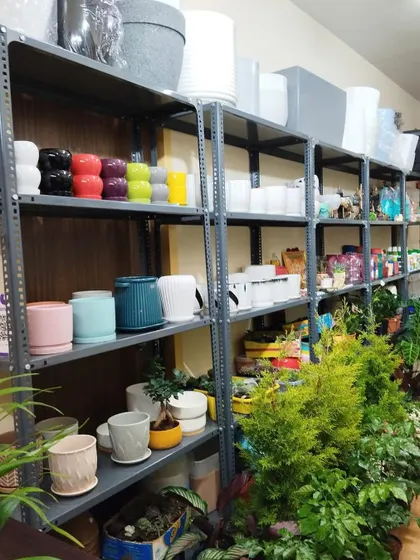 Here's a peek at my pot collection. I stock a variety of styles, from simple and modern to colorful and textured, so you can find the perfect match for your plant and your home decor.