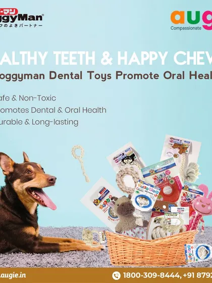 Healthy teeth lead to happy chews. Doggyman dental toys are a great way to promote your dog's oral health. They are safe, non-toxic, durable, and long-lasting.