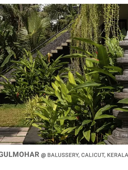 The landscape design at Gulmohar includes natural stone steps and a traditional water feature, surrounded by lush tropical plants that integrate the home with its environment.