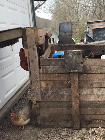 The finished sifter stand, with a chicken inspecting the construction. Now all that's left is to test it and see if this design finally works.