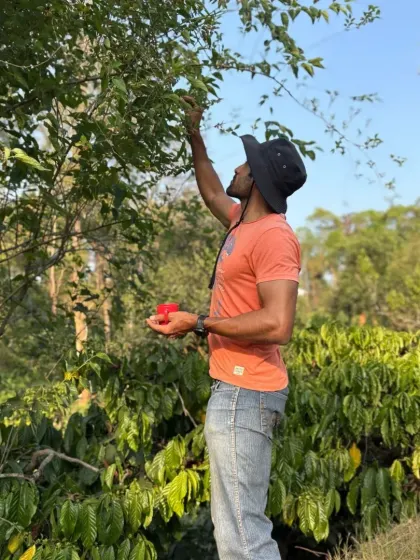 Finding joy in the little things, like checking on the coffee cherries as they grow. This is a quiet moment of connection with the plants that form the heart of my work as a coffee farmer in Coorg.