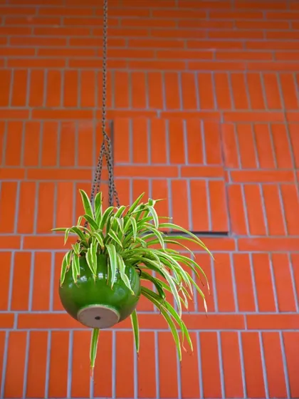 A simple yet elegant hanging ceramic planter adds a touch of green against the warm brick wall at the Sheraton Grand. Using hanging plants is an excellent way to draw the eye upward and add layers to an outdoor design scheme.