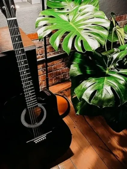 Plants and passions go hand in hand. A lush Monstera plant adds a creative and natural vibe to this music corner, showing how greenery can complement your hobbies and lifestyle.