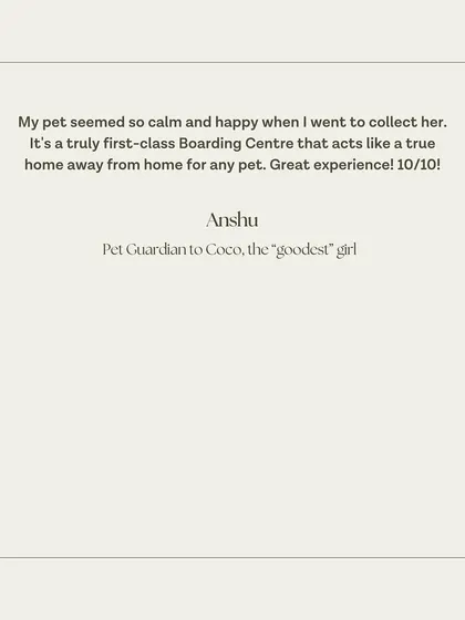 A short and sweet 10/10 review for Coco's stay. We love knowing that she was calm and happy when her family came to collect her.
