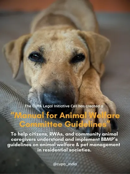 To empower citizens, my legal cell created a "Manual for Animal Welfare Committee Guidelines" to help people implement BBMP's rules in residential societies.