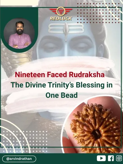 The 19-Faced Rudraksha is the blessing of the divine trinity in one bead. It represents the combined power of Lord Shiva, Maa Parvati, and Lord Ganesha, offering complete life protection and spiritual elevation.