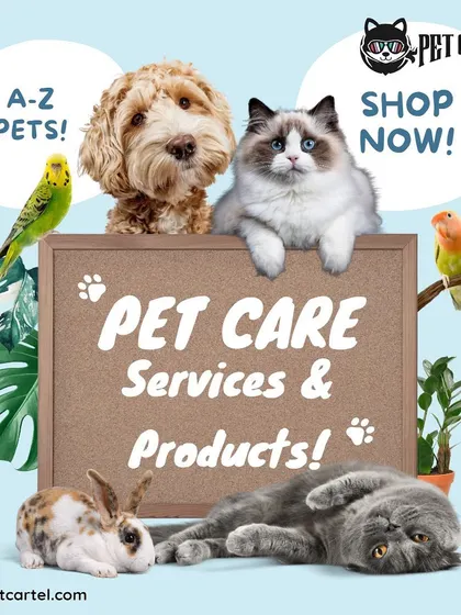 I aim to be your complete partner in pet care, offering services and products for a wide variety of pets including dogs, cats, birds, and rabbits. This graphic gives you a glimpse into the comprehensive support I provide for your entire furry, feathered, or scaled family.