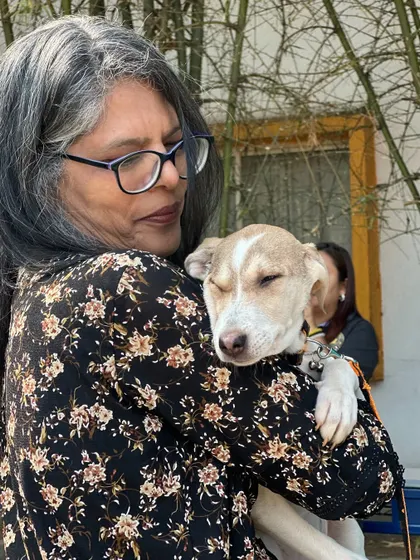 A tender moment as a rescuer holds a sleepy pup at our drive. These animals feel so safe and loved in the arms of their caretakers. Our goal is to find them a permanent embrace just like this.