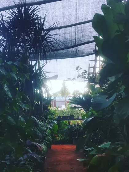 A quiet moment at the nursery as the sun sets. It's a peaceful place to be.