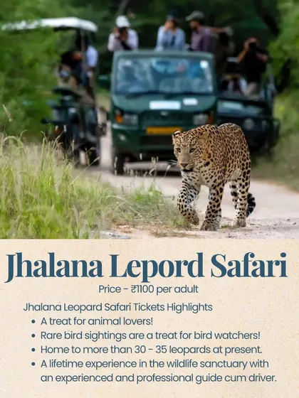Go wild spotting leopards at Jhalana Safari in Jaipur. It's a treat for animal lovers and bird watchers, with an experienced guide to lead the way.