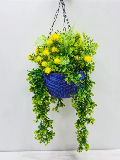 A cheerful hanging basket with bright yellow pom-pom flowers and lush green trailers, perfect for adding a sunny touch.
