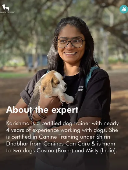Get ready for the Doggie Olympics! This graphic promotes a one-of-a-kind contest in Bangalore where you and your dog can test your skills in a series of fun challenges designed by our certified trainer, Karishma.