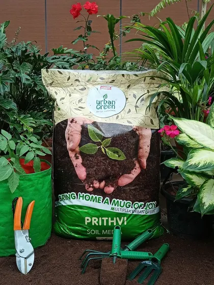 Here is our Prithvi Soil Media in its element, surrounded by the tools and plants it helps to thrive. This specially crafted potting mix is your garden's best friend, designed to give you a green thumb.