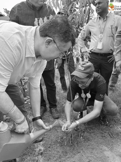 These images showcase individual employees from EXL, Marsh, Amdocs, Telus, HCL, and Northern Trust deeply engaged in the act of planting. Each photo captures a personal moment of connection with nature, showing the focus and care that our corporate volunteers bring to these drives.