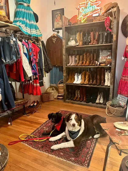 Margo and Floki practicing their 'place' command in a vintage clothing store. This is a perfect example of real-world training. They learn to be calm and hold their command no matter the distraction.