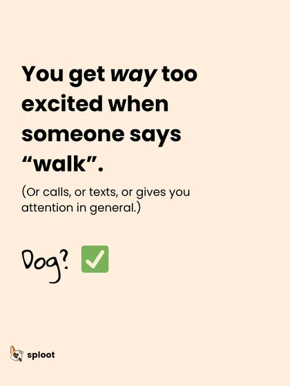 You get way too excited when someone says "walk". If this is you, congratulations, you are officially dog-coded.