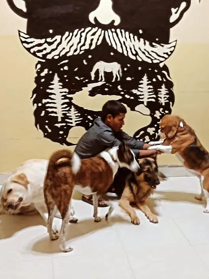 Time for some fun again. The indoor playroom is always full of laughter and wagging tails.