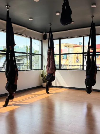 A synchronized inversion, showing the discipline and beauty of practicing together.