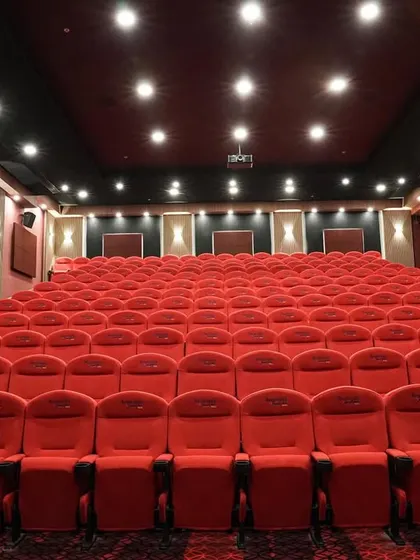 A view from the front of the auditorium, looking back at the sea of red seats. This project showcases my ability to handle large-scale, professional installations.