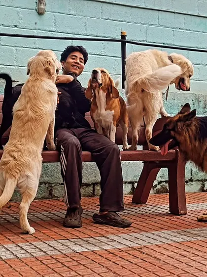 My staff member getting swarmed with love from a Basset Hound, a Golden, and a German Shepherd.