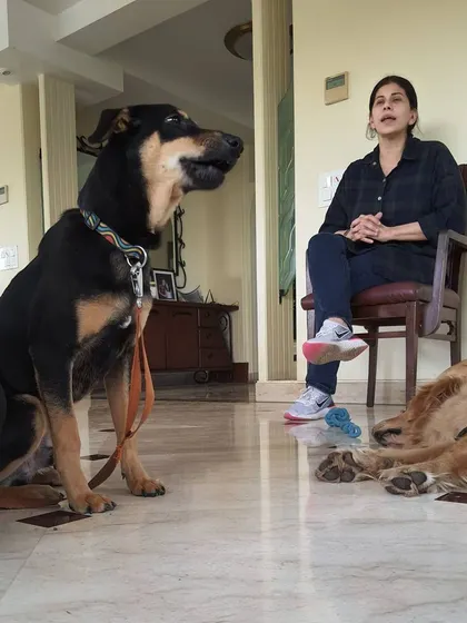 Listening and observing are the most important skills a behaviorist can have. Here, my mentor Shirin Merchant lectures while a dog sits attentively, a great reminder that dogs are always listening to us, even when we're not speaking to them directly.