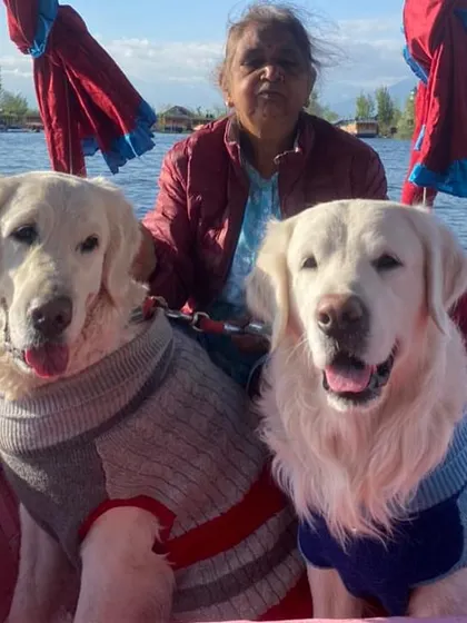 A throwback to our Kanyakumari to Kashmir trip, which included a serene Shikara ride on Dal Lake in Srinagar. This shows that even touristy activities can be dog-friendly.