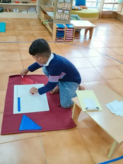 Using materials like the decanomial bead bars, this child is visually and physically exploring mathematical concepts. This sensorial approach makes abstract ideas like multiplication and squaring tangible and understandable.