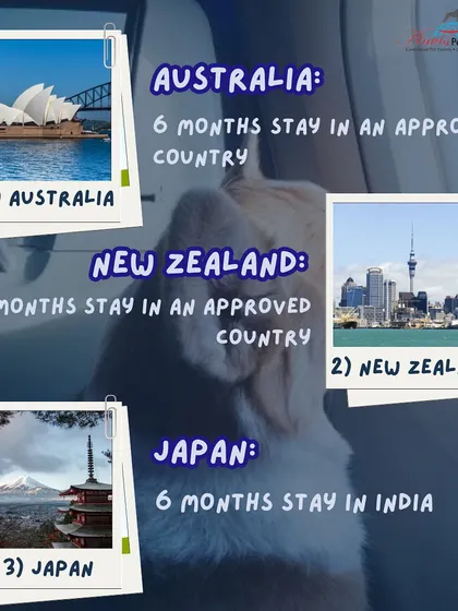 Australia and New Zealand require a 6-month stay in an approved country before entry. Japan requires a 6-month stay in India after initial preparations. We manage these timelines for a seamless move.