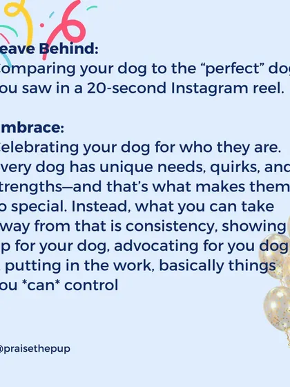 It's easy to compare your dog to a "perfect" dog in a short social media video. Instead, I encourage celebrating your dog for who they are. Focus on what you can control: your consistency, your advocacy, and the work you put in.