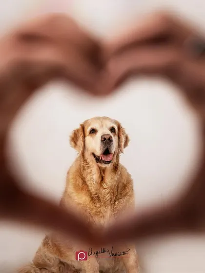Framing a beloved pet within a heart made of hands. It's a simple but powerful way to say "I love you."