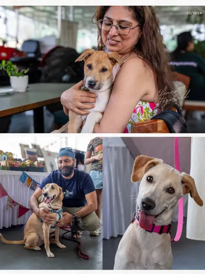 More heartwarming scenes from the fundraiser, showcasing the beautiful bond between humans and their furry friends.