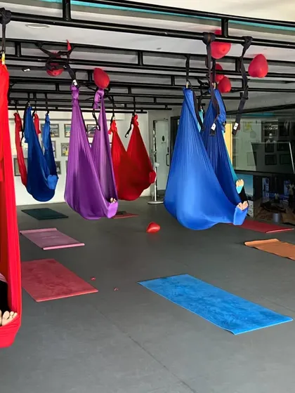 A duplicate of the students in aerial Savasana, cocooned in their hammocks.