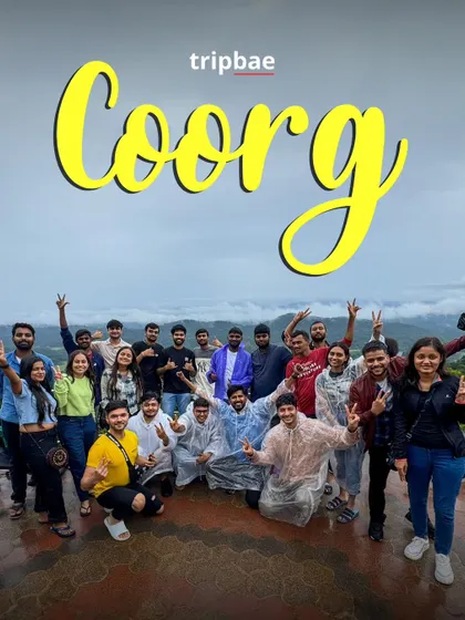 The group posing with victory signs on a viewpoint in Coorg. The camaraderie and shared joy are what make these trips special.