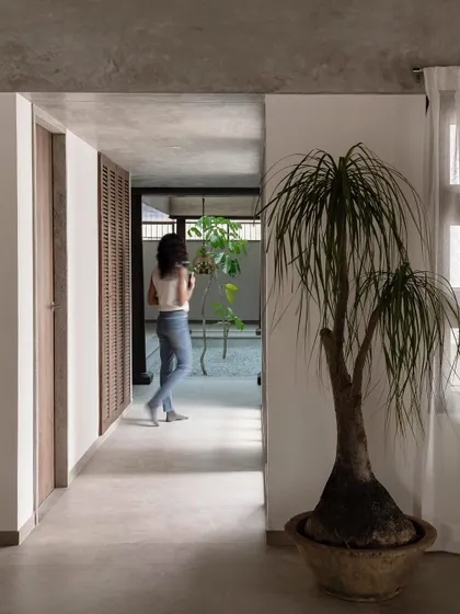 An indoor plant adds a touch of green to the minimalist corridor. The design of these transitional spaces is as considered as the main rooms, ensuring a cohesive experience throughout the home.