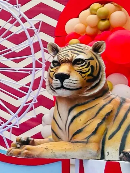 A majestic tiger prop adds a touch of classic circus magic to our carnival theme, delighting both children and adults.