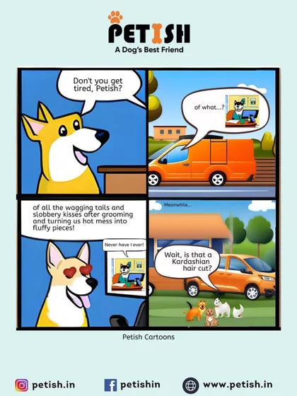 A little comic strip about what goes on at Petish. I never get tired of the wagging tails and slobbery kisses from my happy, fluffy clients.