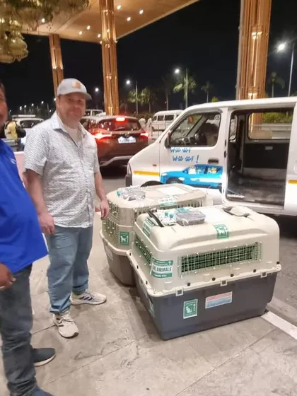 The owner of Liam and Zoe stands with their travel crates outside the Bangalore airport. We ensure all crates are correctly labeled and meet airline standards for international travel.