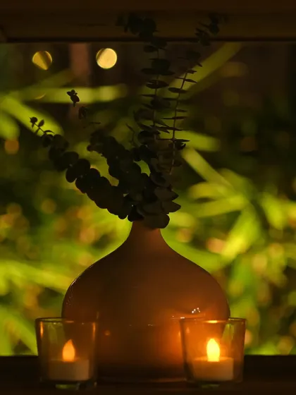 A minimalist and serene composition of a single vase and two candles against a window. The soft focus and warm light create a peaceful and calming mood.