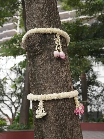 A simple and elegant detail of jasmine and lotus buds wrapped around a tree trunk.