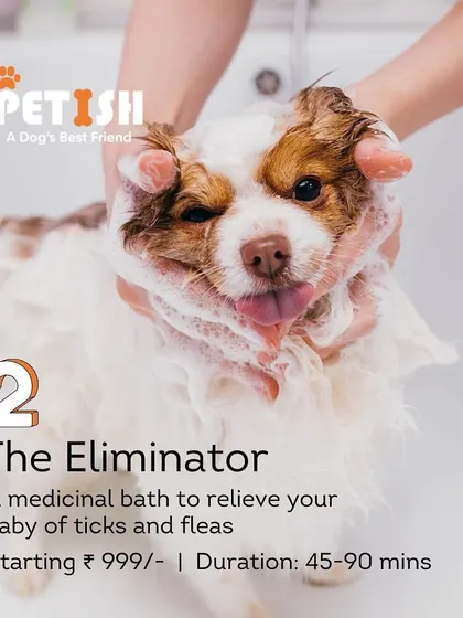 Choose "The Eliminator" for a medicated bath that provides relief from ticks and fleas. I use safe and effective products to ensure your pet is comfortable and pest-free.